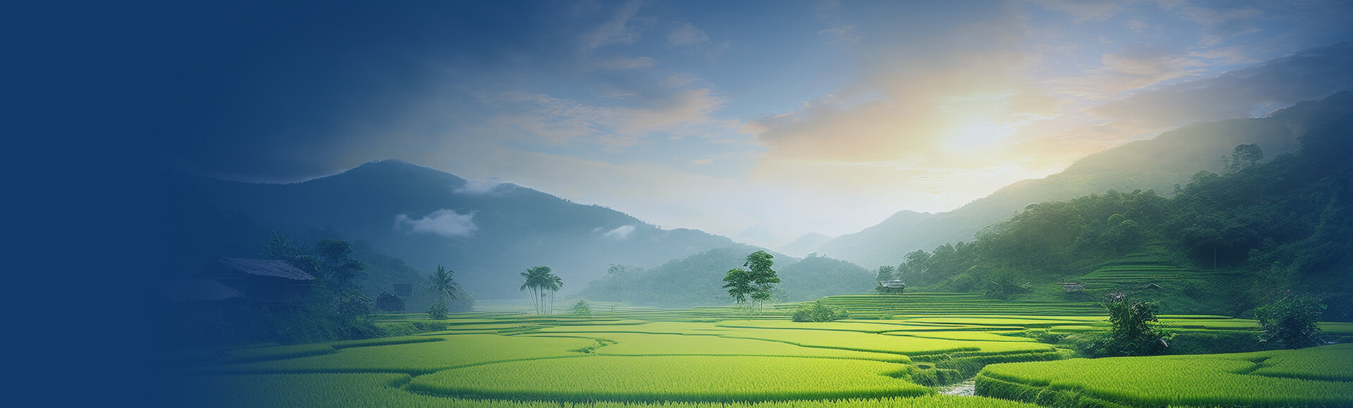 負(fù)氧離子監(jiān)測站,負(fù)離子監(jiān)測儀,負(fù)氧離子檢測儀