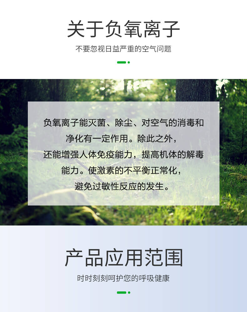 負(fù)氧離子甲醛檢測(cè)儀