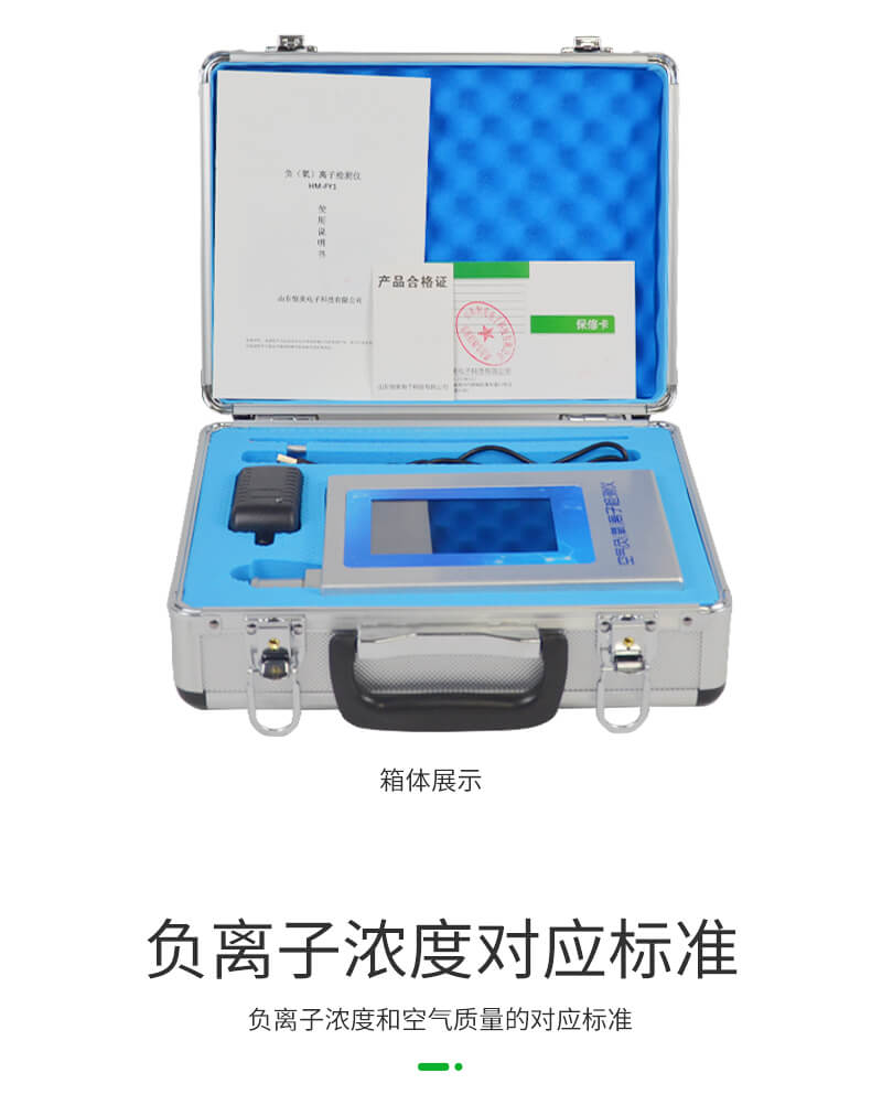 負(fù)氧離子甲醛檢測(cè)儀
