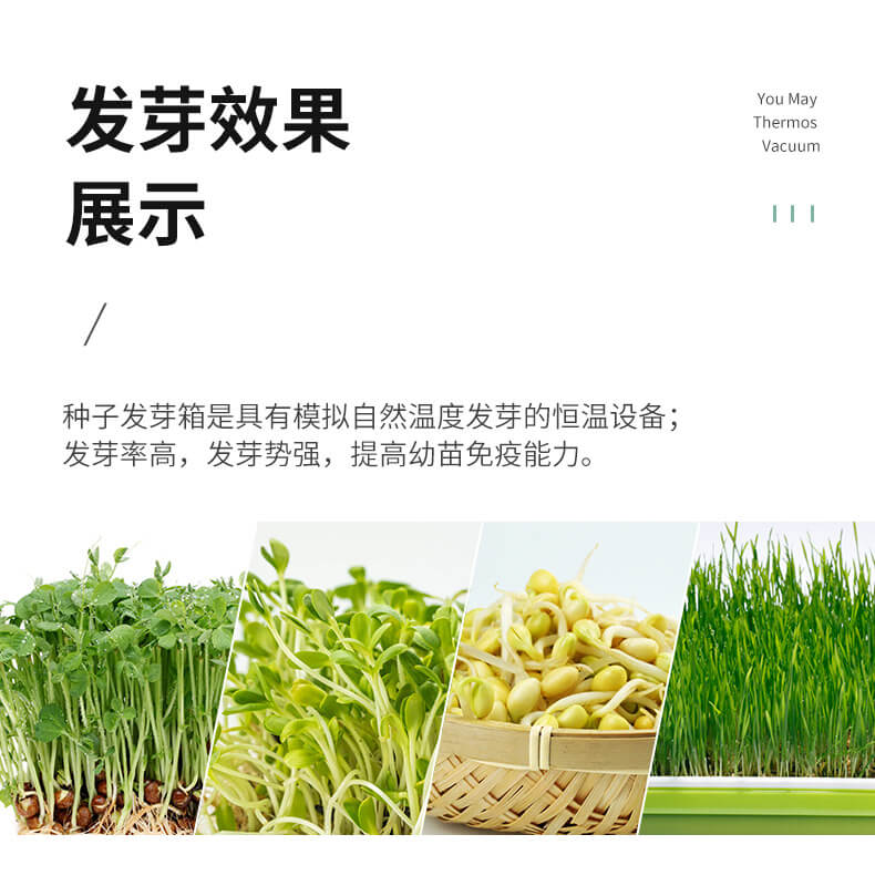 種子培養(yǎng)箱