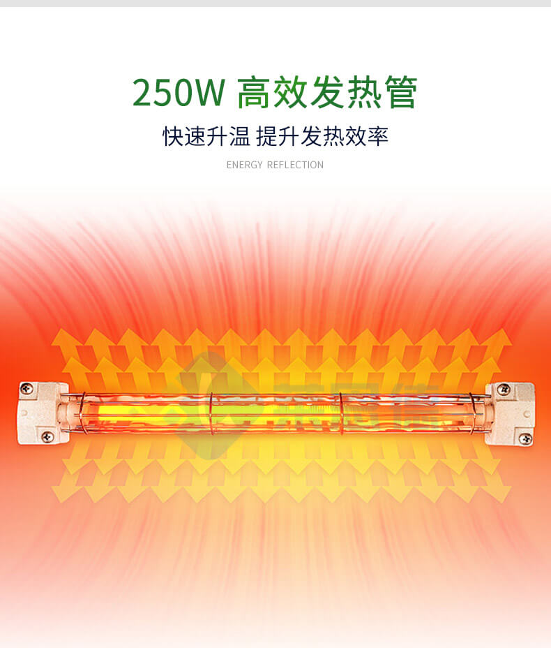 種子培養(yǎng)箱