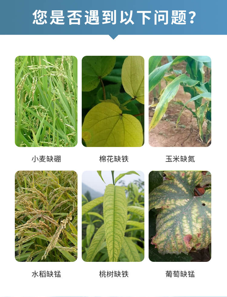 土壤成分分析儀