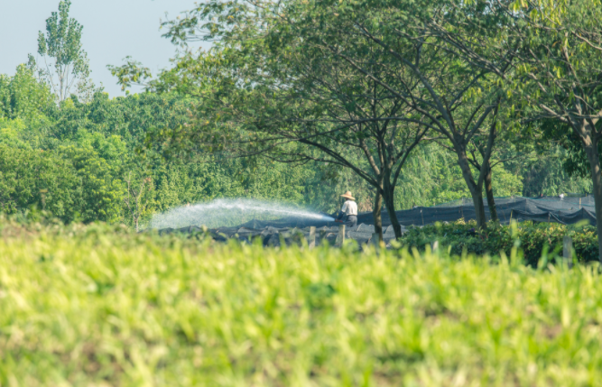 土壤水勢儀是什么，土壤水勢儀的功能特點有哪些