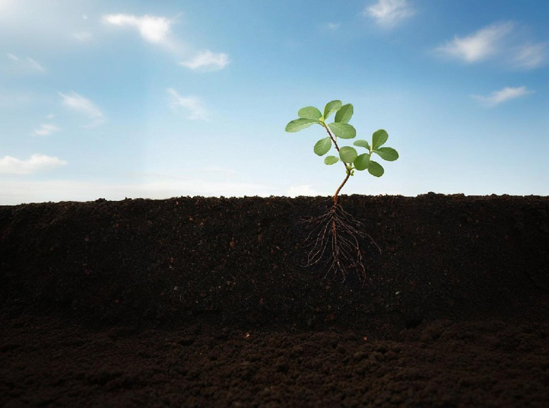 土壤檢測實(shí)驗(yàn)室方案