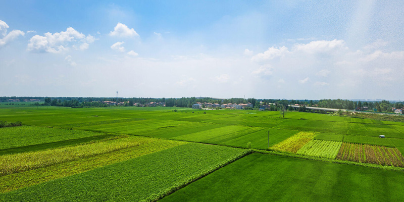 土壤養(yǎng)分檢測(cè)儀在農(nóng)業(yè)施肥中的應(yīng)用