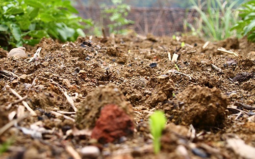 神器應(yīng)用||測(cè)土配方施肥儀提升肥料發(fā)揮增產(chǎn)效益