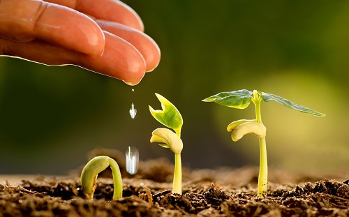 土壤水分測(cè)定儀-在線(xiàn)掌握土壤水分情況