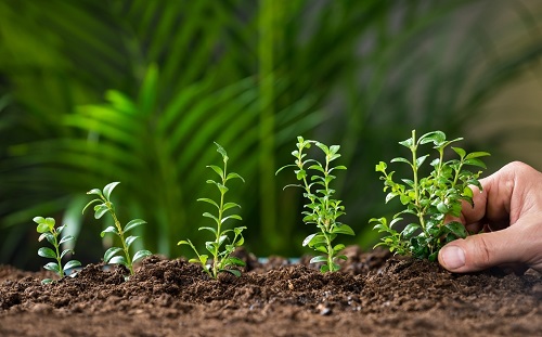 土壤養(yǎng)分快速檢測儀判斷養(yǎng)分盈虧