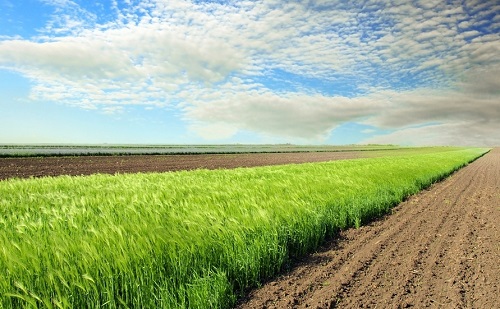 土壤養(yǎng)分分析儀助力減肥增效的工作實(shí)施