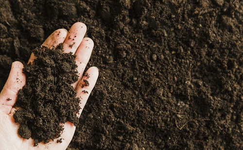 土壤養(yǎng)分速測儀輕松提升土壤肥力效果