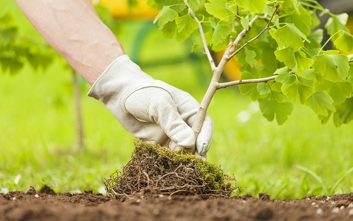 利用土壤養(yǎng)分檢測儀測土配方，讓施肥更科學(xué)