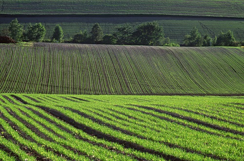 測土配方精準(zhǔn)施肥，農(nóng)業(yè)生產(chǎn)好處多！