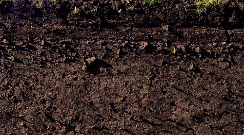 如何操作土壤肥料養(yǎng)分速測儀才能測出數(shù)據(jù)