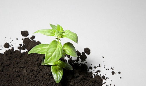 土壤養(yǎng)分速測儀是種植農(nóng)作物的好幫手！