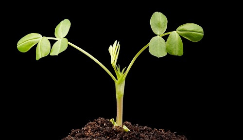 土肥專用---專業(yè)的土壤肥料養(yǎng)分檢測儀的產(chǎn)品優(yōu)勢和測試項(xiàng)目