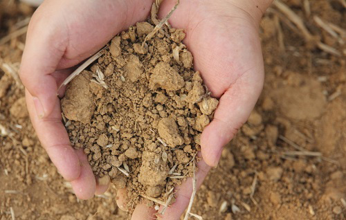 測(cè)土配方施肥儀：測(cè)土正確的取樣方式