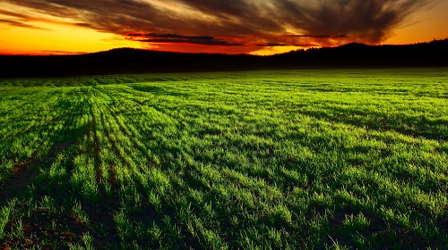 測(cè)土配方施肥儀：精準(zhǔn)施肥杜絕肥害