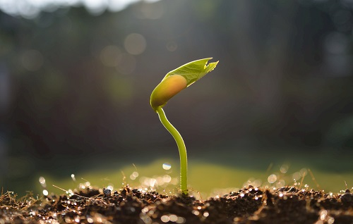 測(cè)土儀：土壤改良中的應(yīng)用