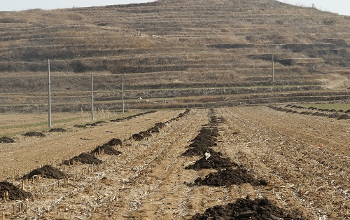 土壤養(yǎng)分速測儀在棉花平衡施肥中的應(yīng)用