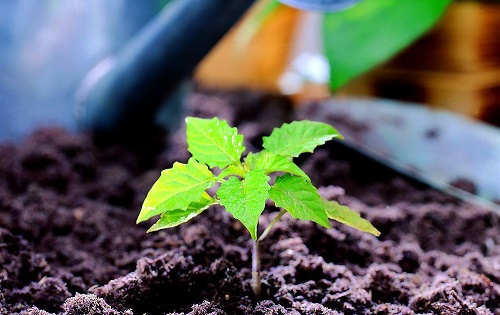 合作共贏(yíng)！萊恩德土壤檢測(cè)設(shè)備助力生態(tài)園實(shí)現(xiàn)可持續(xù)發(fā)展