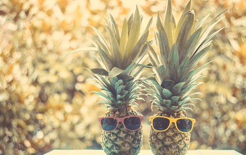 鳳梨和菠蘿的水分管理方式一樣嗎？便攜式土壤墑情測試儀告訴你答案