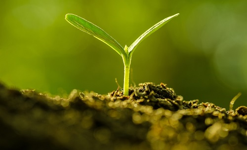 為避免誤導用戶，便攜式土壤水分速測儀使用需注意