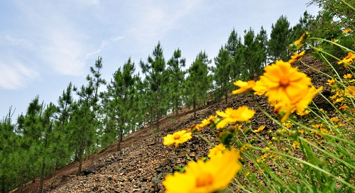 測土配方施肥儀確保了施肥的精準