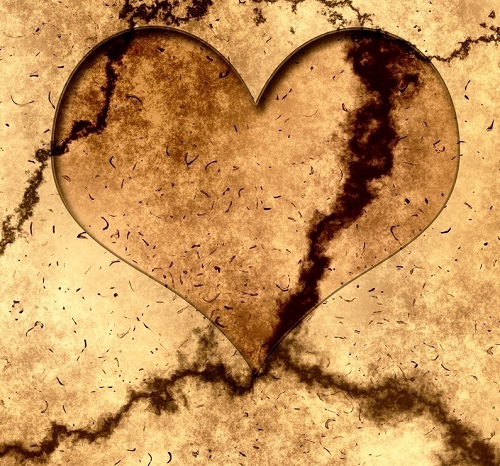 種植之前，如何快速掌握土壤的健康情況