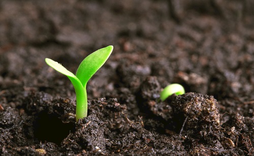 如何提升大棚土質，土壤氮磷鉀儀對大棚種植能帶來這些好處