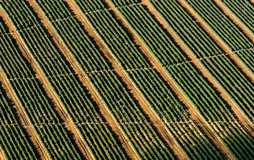 便攜式土壤水分速測儀的重要影響意義