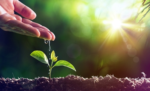 應(yīng)用土壤水分測定儀指導(dǎo)農(nóng)業(yè)科學(xué)灌溉