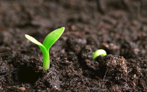 土壤墑情監(jiān)測系統(tǒng)準(zhǔn)確測墑，保障糧食生產(chǎn)安全