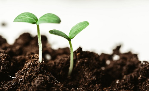 土壤墑情監(jiān)測儀的相關(guān)測定指標(biāo)介紹