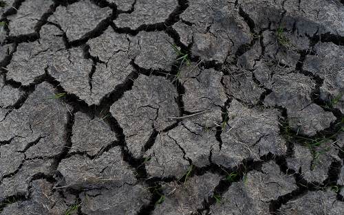 便攜式土壤墑情測試儀應(yīng)用原理與優(yōu)勢