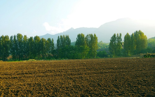 土壤養(yǎng)分檢測儀讓黃土變松軟肥沃、質(zhì)量優(yōu)渥、適耕性好