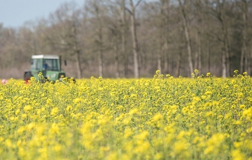 土壤溫度對(duì)微生物肥料有什么影響？土壤溫濕度測定儀保障生物菌肥肥效