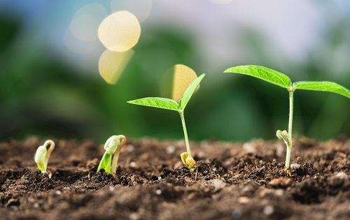 儀器應(yīng)用有講究 土壤墑情監(jiān)測(cè)系統(tǒng)使用要注意以下事項(xiàng)