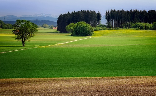 土壤緊實度儀在耕地地塊質(zhì)量調(diào)查中的應(yīng)用(土壤緊實度儀的優(yōu)點）
