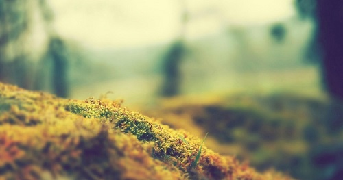 利用土壤硬度計科學(xué)調(diào)控，讓板結(jié)土壤活起來