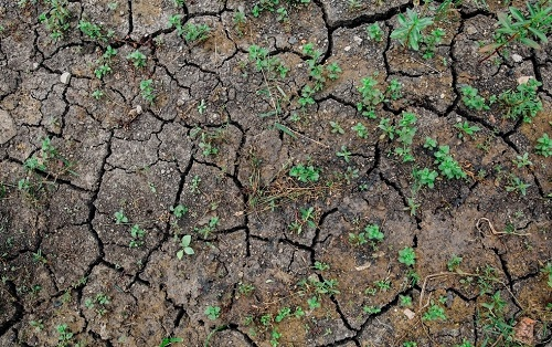 為什么說土壤養(yǎng)分儀是成本最低的土壤檢測方法？