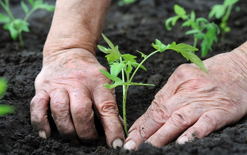 土壤采樣器：可靠的現(xiàn)場土壤采樣工具