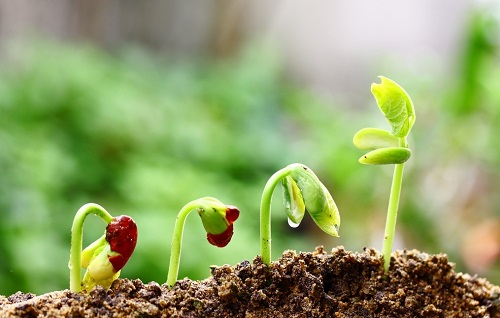 便攜式土壤重金屬檢測儀怎么樣？實用嗎？
