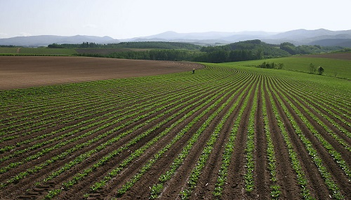 土壤肥料養(yǎng)分檢測儀使用注意事項，土壤肥料養(yǎng)分檢測儀采樣注意事項