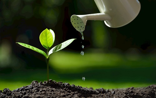 測(cè)土配方施肥儀測(cè)試的項(xiàng)目有哪些？