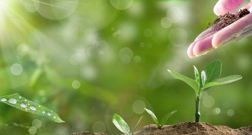 提高肥料轉(zhuǎn)化率,利用土壤養(yǎng)分儀研究肥料對(duì)土壤作用