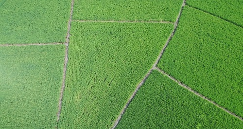 土壤重金屬檢測(cè)儀器有哪些較為適用？