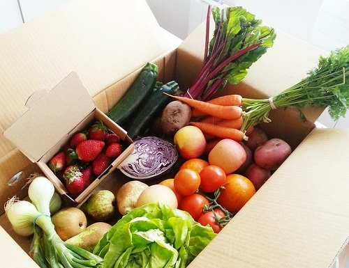 使用手持式土壤重金屬檢測(cè)儀可以達(dá)到什么效果？