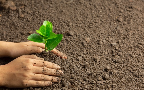 如何使用土壤緊實(shí)度測(cè)量?jī)x？（土壤緊實(shí)度測(cè)量?jī)x的功能特點(diǎn)）