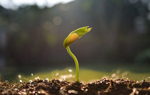 土壤肥料養(yǎng)分速測(cè)儀促進(jìn)農(nóng)業(yè)經(jīng)濟(jì)發(fā)展