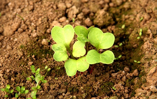 選購(gòu)?fù)寥婪柿纤贉y(cè)儀要注意哪些細(xì)節(jié)？